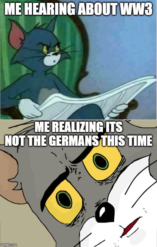 Somethings is fishy about this... | ME HEARING ABOUT WW3; ME REALIZING ITS NOT THE GERMANS THIS TIME | image tagged in interrupting tom's read,memes,unsettled tom,ww3 | made w/ Imgflip meme maker