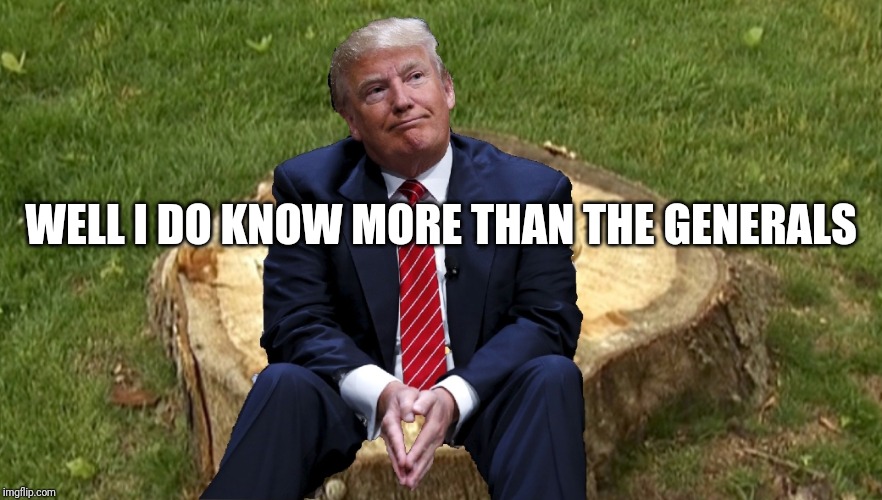 Trump on a stump | WELL I DO KNOW MORE THAN THE GENERALS | image tagged in trump on a stump | made w/ Imgflip meme maker