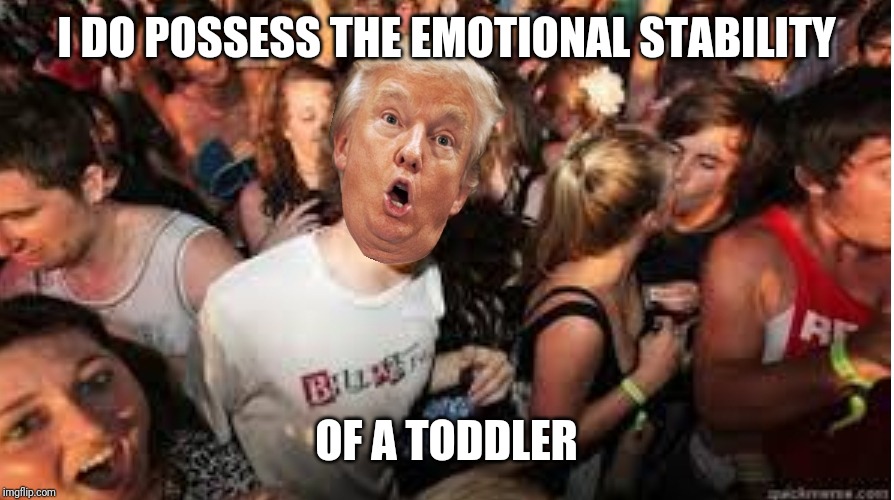 Suddenly clear Donald | I DO POSSESS THE EMOTIONAL STABILITY OF A TODDLER | image tagged in suddenly clear donald | made w/ Imgflip meme maker