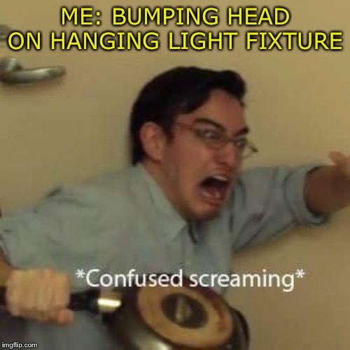 filthy frank confused scream | ME: BUMPING HEAD ON HANGING LIGHT FIXTURE | image tagged in filthy frank confused scream | made w/ Imgflip meme maker