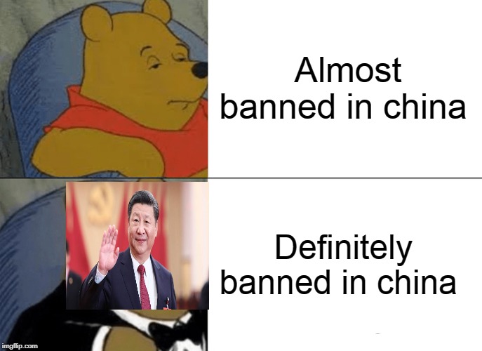 Tuxedo Winnie The Pooh Meme | Almost banned in china Definitely banned in china | image tagged in memes,tuxedo winnie the pooh | made w/ Imgflip meme maker