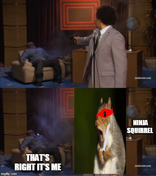 Who Killed Hannibal Meme | NINJA SQUIRREL THAT'S RIGHT IT'S ME | image tagged in memes,who killed hannibal | made w/ Imgflip meme maker
