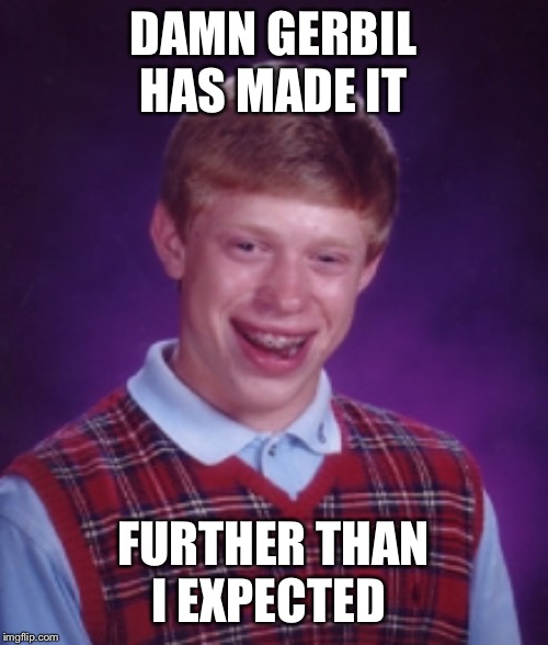 Bad luck brian | DAMN GERBIL HAS MADE IT; FURTHER THAN I EXPECTED | image tagged in bad luck brian,unlucky ginger kid,braces,animals,smiling,gross | made w/ Imgflip meme maker