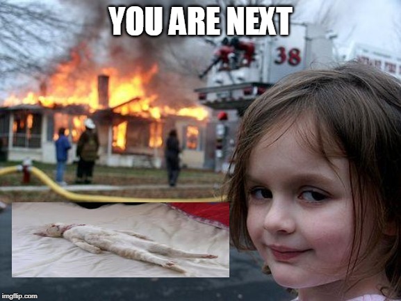 Disaster Girl Meme | YOU ARE NEXT | image tagged in memes,disaster girl | made w/ Imgflip meme maker