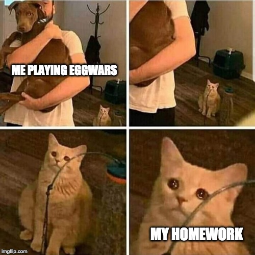 Sad Cat Holding Dog | ME PLAYING EGGWARS; MY HOMEWORK | image tagged in sad cat holding dog | made w/ Imgflip meme maker