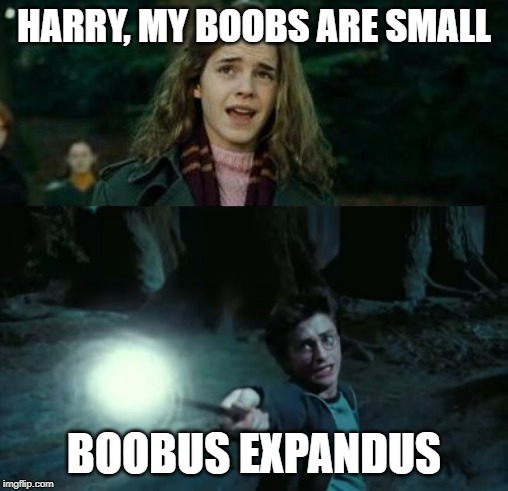 My boobs hurt - Meme by Cooper-the-Wolf :) Memedroid