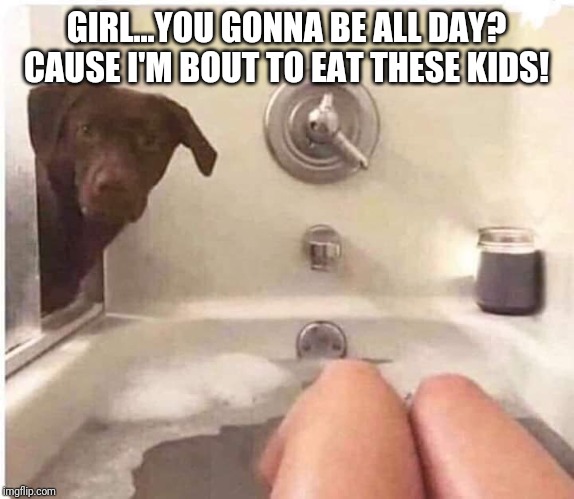  GIRL...YOU GONNA BE ALL DAY? CAUSE I'M BOUT TO EAT THESE KIDS! | image tagged in funny,funny memes,pet humor | made w/ Imgflip meme maker