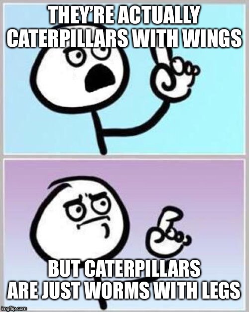 Umm | THEY’RE ACTUALLY CATERPILLARS WITH WINGS BUT CATERPILLARS ARE JUST WORMS WITH LEGS | image tagged in umm | made w/ Imgflip meme maker