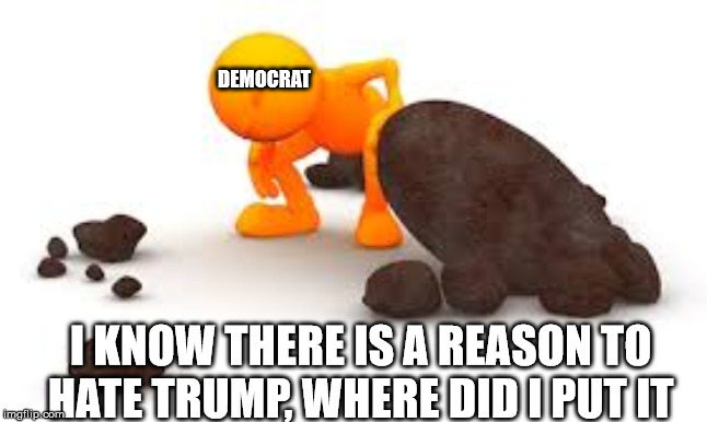 DEMOCRAT; I KNOW THERE IS A REASON TO HATE TRUMP, WHERE DID I PUT IT | image tagged in donald trump | made w/ Imgflip meme maker