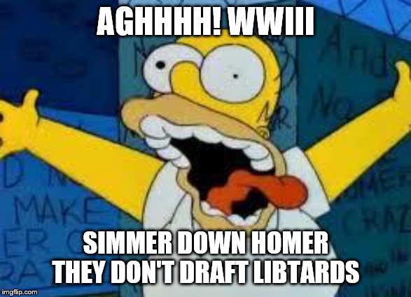 Homer Going Crazy | AGHHHH! WWIII; SIMMER DOWN HOMER
THEY DON'T DRAFT LIBTARDS | image tagged in homer going crazy,memes,politics | made w/ Imgflip meme maker