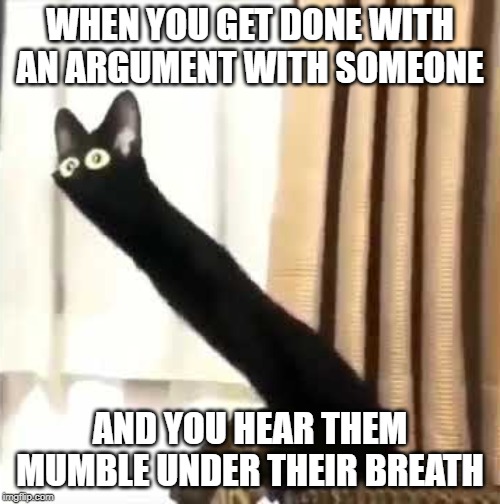 Long Neck Cat | WHEN YOU GET DONE WITH AN ARGUMENT WITH SOMEONE; AND YOU HEAR THEM MUMBLE UNDER THEIR BREATH | image tagged in long neck cat | made w/ Imgflip meme maker