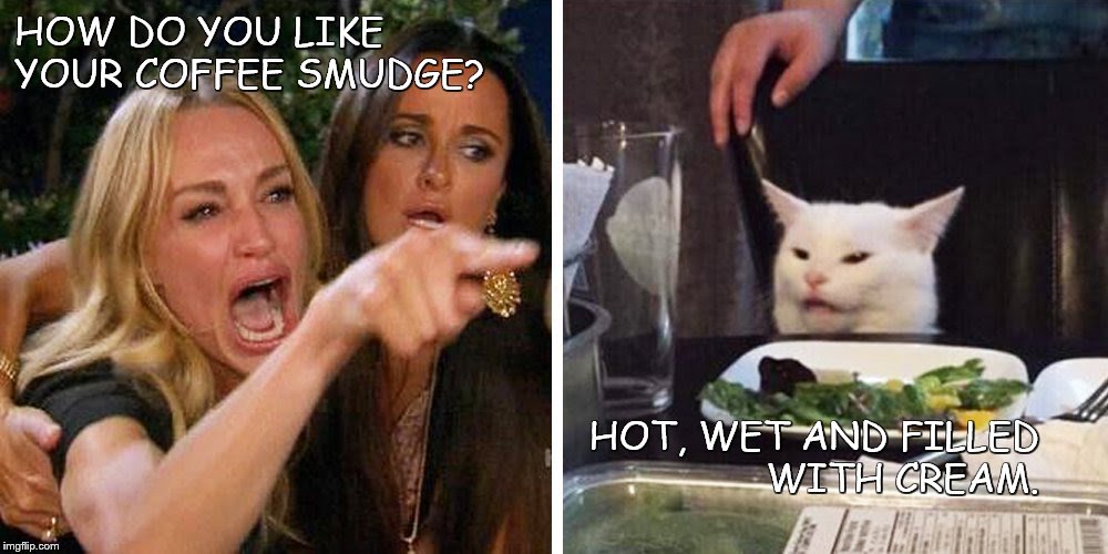 Smudge the cat | HOW DO YOU LIKE
YOUR COFFEE SMUDGE? HOT, WET AND FILLED
WITH CREAM. | image tagged in smudge the cat | made w/ Imgflip meme maker