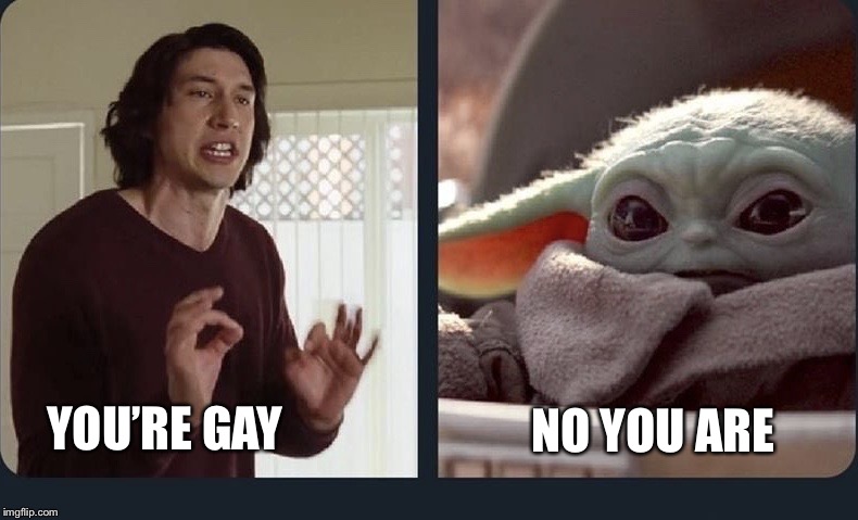 Kylo Ren Baby Yoda | NO YOU ARE; YOU’RE GAY | image tagged in kylo ren baby yoda | made w/ Imgflip meme maker