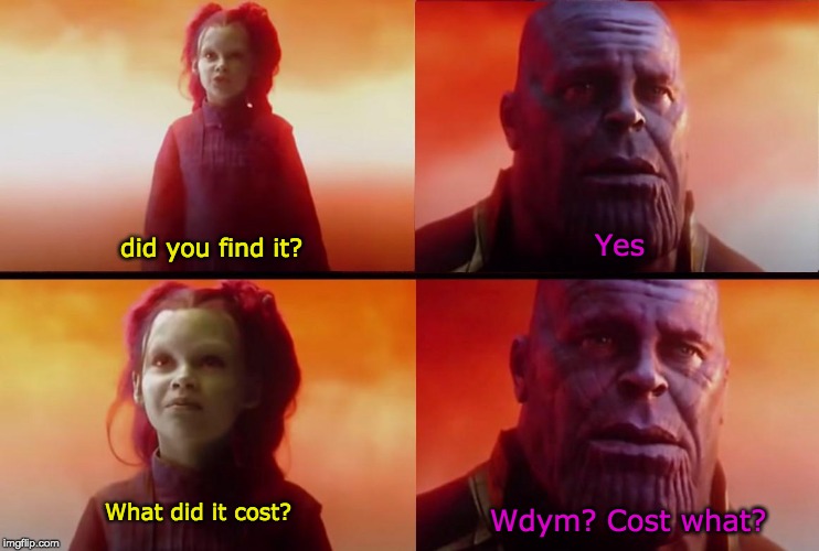 thanos what did it cost | Yes; did you find it? What did it cost? Wdym? Cost what? | image tagged in thanos what did it cost | made w/ Imgflip meme maker