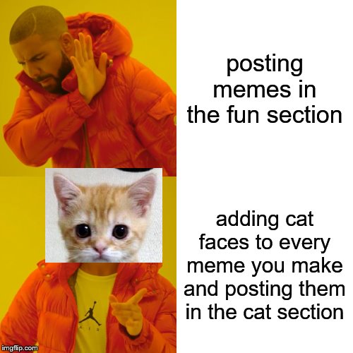 Drake Hotline Bling Meme | posting memes in the fun section; adding cat faces to every meme you make and posting them in the cat section | image tagged in memes,drake hotline bling | made w/ Imgflip meme maker