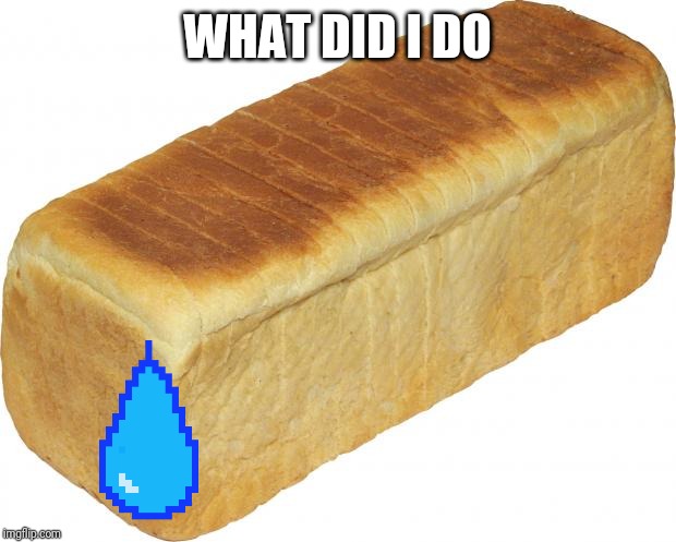 Breadddd | WHAT DID I DO | image tagged in breadddd | made w/ Imgflip meme maker