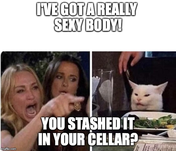Angry Woman and Cat | I'VE GOT A REALLY 
SEXY BODY! YOU STASHED IT
IN YOUR CELLAR? | image tagged in angry woman and cat | made w/ Imgflip meme maker