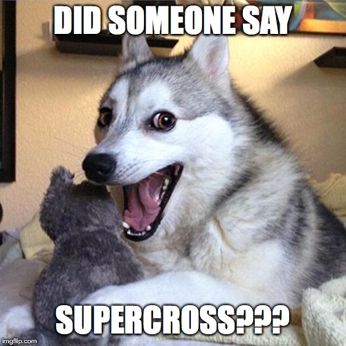 Surprised Dog  | DID SOMEONE SAY; SUPERCROSS??? | image tagged in surprised dog | made w/ Imgflip meme maker
