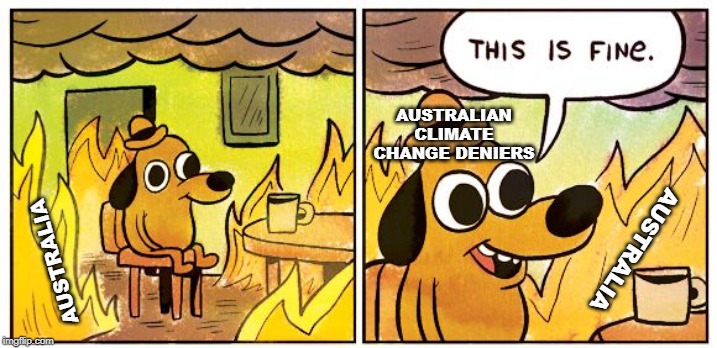 This Is Fine Meme | AUSTRALIAN CLIMATE CHANGE DENIERS; AUSTRALIA; AUSTRALIA | image tagged in this is fine dog | made w/ Imgflip meme maker