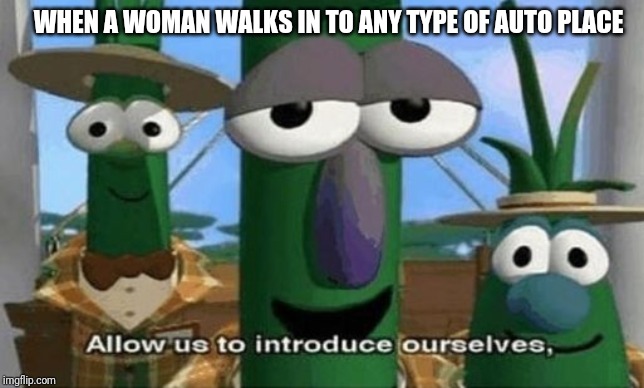 Allow Us to Introduce Ourselves | WHEN A WOMAN WALKS IN TO ANY TYPE OF AUTO PLACE | image tagged in allow us to introduce ourselves | made w/ Imgflip meme maker