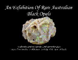 2013 Opal Exhibition | image tagged in gifs | made w/ Imgflip images-to-gif maker