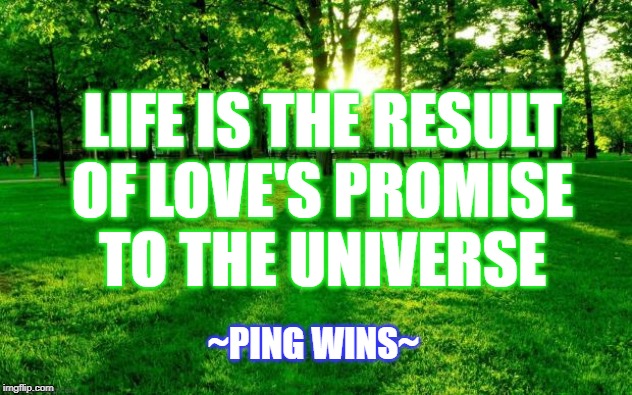 Ping Wins Poetry 201 Life Love Universe | LIFE IS THE RESULT
OF LOVE'S PROMISE
TO THE UNIVERSE; ~PING WINS~ | image tagged in grass and trees,alien,poetry,love,universe,life | made w/ Imgflip meme maker
