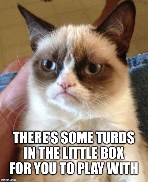 Grumpy Cat Meme | THERE’S SOME TURDS IN THE LITTLE BOX FOR YOU TO PLAY WITH | image tagged in memes,grumpy cat | made w/ Imgflip meme maker