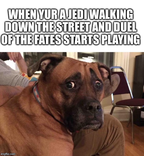 Oh crap dog | WHEN YUR A JEDI WALKING DOWN THE STREET AND DUEL OF THE FATES STARTS PLAYING | image tagged in oh crap dog | made w/ Imgflip meme maker