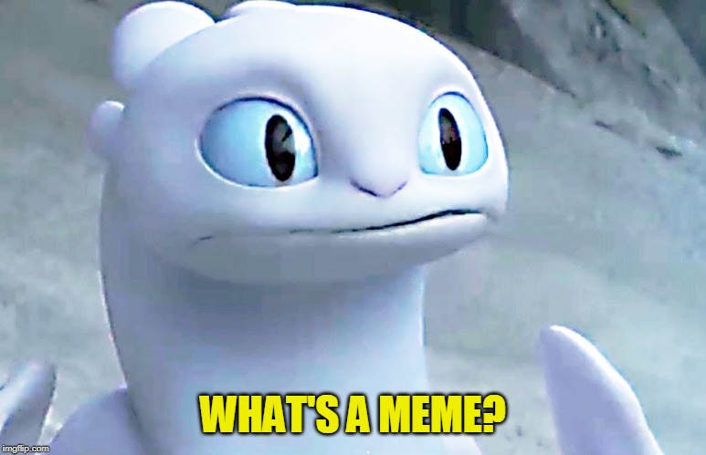 Light fury | WHAT'S A MEME? | image tagged in light fury | made w/ Imgflip meme maker