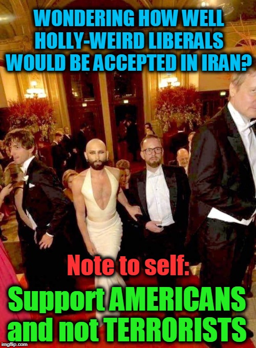 Delusional Democrats | WONDERING HOW WELL HOLLY-WEIRD LIBERALS WOULD BE ACCEPTED IN IRAN? Note to self:; Support AMERICANS and not TERRORISTS | image tagged in political meme,politics lol,identity politics,political parties,nevertrump,politics | made w/ Imgflip meme maker