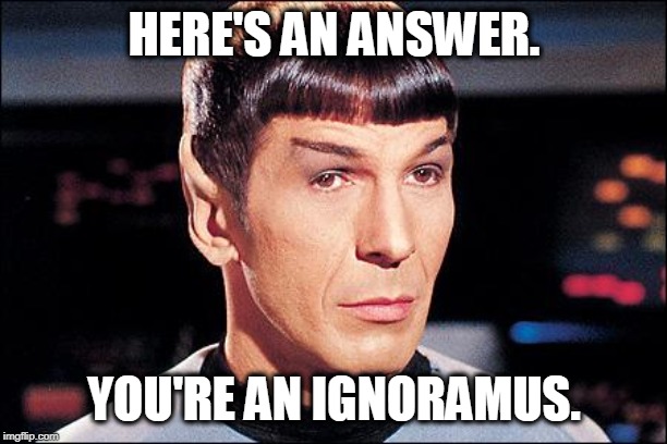 Condescending Spock | HERE'S AN ANSWER. YOU'RE AN IGNORAMUS. | image tagged in condescending spock | made w/ Imgflip meme maker