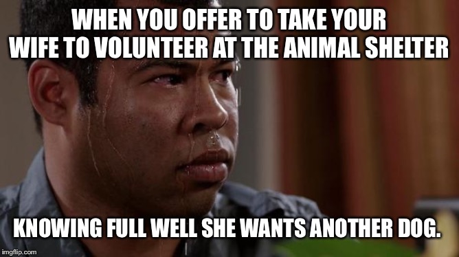 sweating bullets | WHEN YOU OFFER TO TAKE YOUR WIFE TO VOLUNTEER AT THE ANIMAL SHELTER; KNOWING FULL WELL SHE WANTS ANOTHER DOG. | image tagged in sweating bullets | made w/ Imgflip meme maker