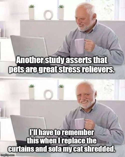 Hide the Pain Harold Meme | Another study asserts that pets are great stress relievers. I'll have to remember this when I replace the curtains and sofa my cat shredded. | image tagged in memes,hide the pain harold,cats,stress,humor | made w/ Imgflip meme maker