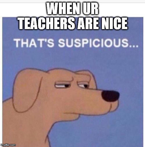 That's suspicious  | WHEN UR TEACHERS ARE NICE | image tagged in that's suspicious | made w/ Imgflip meme maker