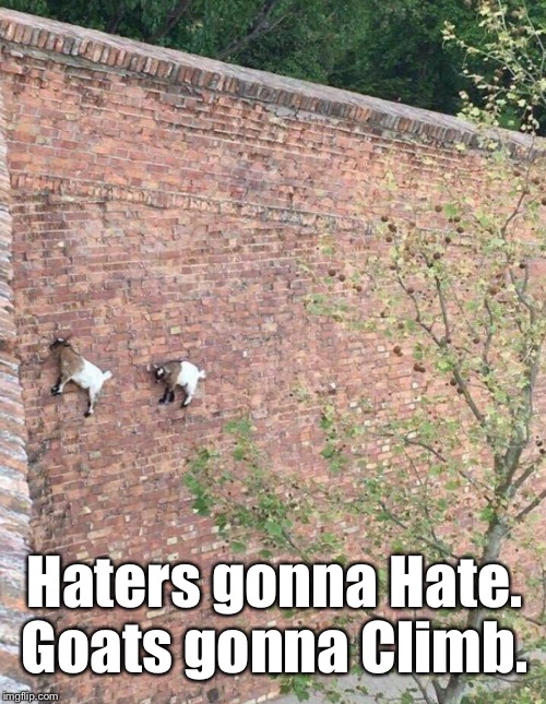 Haters gonna Hate. 
Goats gonna Climb. | made w/ Imgflip meme maker