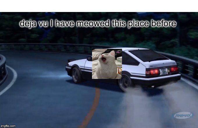 deja vu I have meowed this place before | made w/ Imgflip meme maker