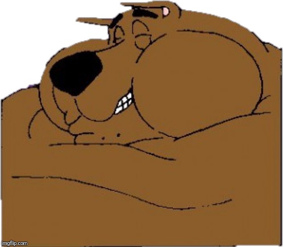 fat scooby laughing | image tagged in fat scooby laughing | made w/ Imgflip meme maker