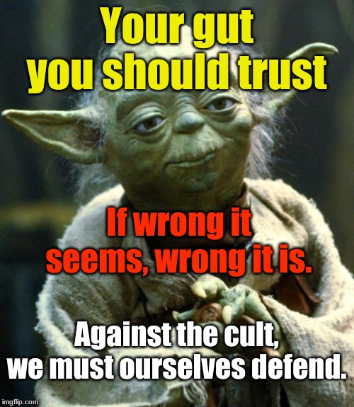 Star Wars Yoda |  Your gut you should trust; If wrong it seems, wrong it is. Against the cult, we must ourselves defend. | image tagged in memes,star wars yoda,self defense,islam | made w/ Imgflip meme maker