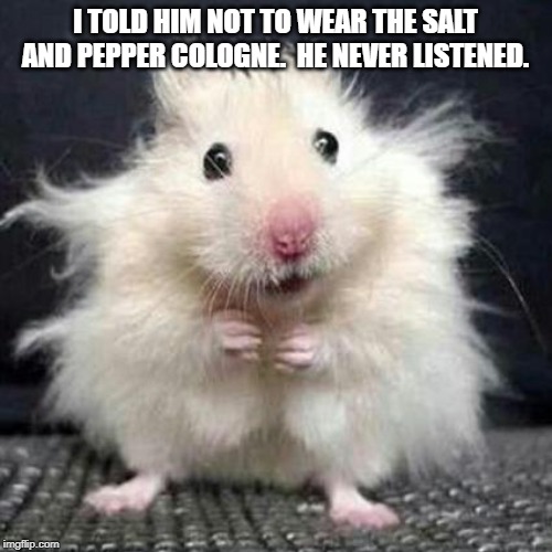 Stressed Mouse | I TOLD HIM NOT TO WEAR THE SALT AND PEPPER COLOGNE.  HE NEVER LISTENED. | image tagged in stressed mouse | made w/ Imgflip meme maker