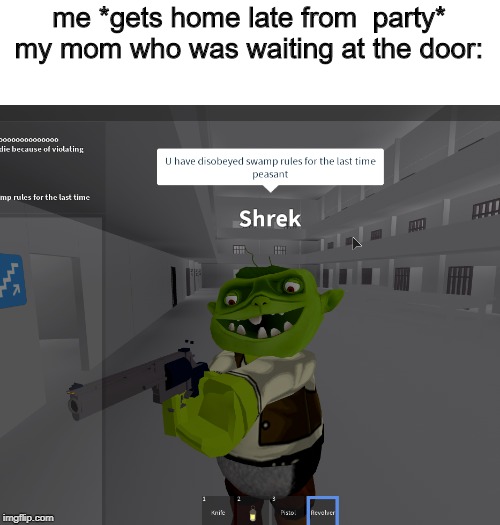 Shrek mom | me *gets home late from  party*
my mom who was waiting at the door: | image tagged in memes | made w/ Imgflip meme maker