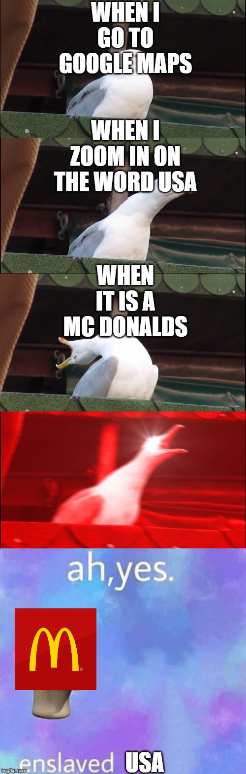 WHEN I GO TO GOOGLE MAPS; WHEN I ZOOM IN ON THE WORD USA; WHEN IT IS A MC DONALDS; USA | image tagged in memes,inhaling seagull,ah yes enslaved | made w/ Imgflip meme maker
