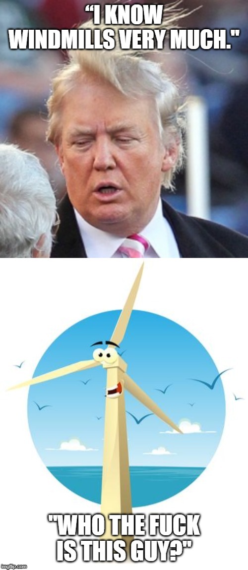 I know windmills very much - Donald Trump | image tagged in donald trump,president trump,windmill,wtf,dumb people,dumb meme | made w/ Imgflip meme maker