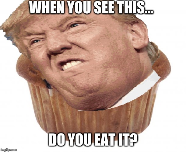 WHEN YOU SEE THIS... DO YOU EAT IT? | image tagged in politics,question | made w/ Imgflip meme maker