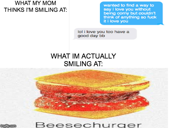 beesechurger | WHAT MY MOM THINKS I'M SMILING AT:; WHAT IM ACTUALLY SMILING AT: | image tagged in blank white template | made w/ Imgflip meme maker