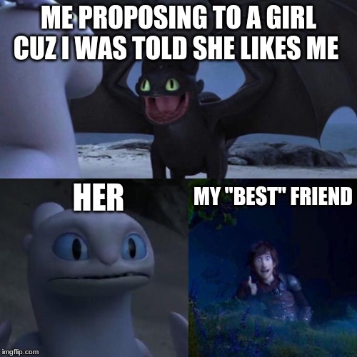 Toothless presents himself | ME PROPOSING TO A GIRL CUZ I WAS TOLD SHE LIKES ME; MY "BEST" FRIEND; HER | image tagged in toothless presents himself | made w/ Imgflip meme maker