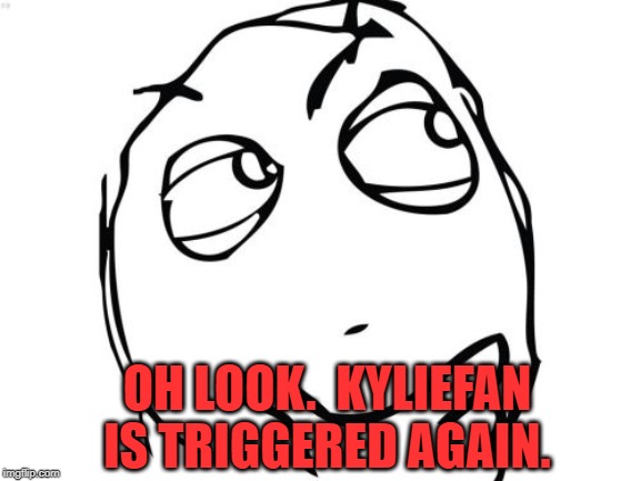 Question Rage Face Meme | OH LOOK.  KYLIEFAN IS TRIGGERED AGAIN. | image tagged in memes,question rage face | made w/ Imgflip meme maker