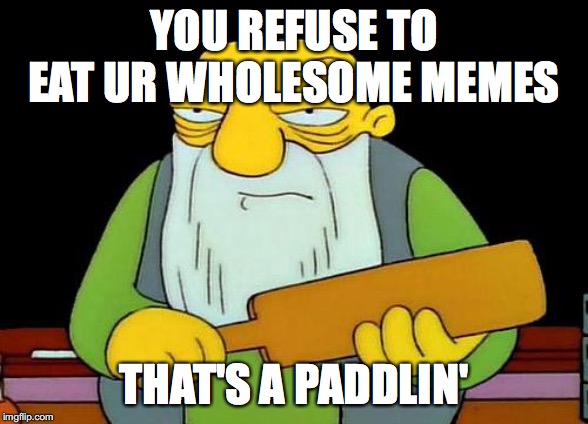 That's a paddlin' Meme | YOU REFUSE TO EAT UR WHOLESOME MEMES; THAT'S A PADDLIN' | image tagged in memes,that's a paddlin' | made w/ Imgflip meme maker