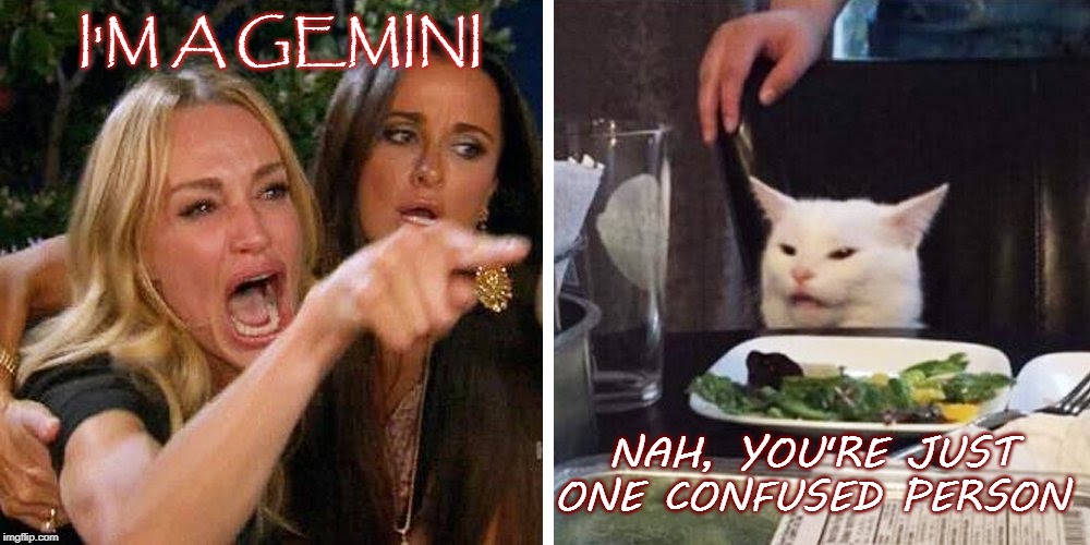 Smudge the cat | I'M A GEMINI; NAH, YOU'RE JUST ONE CONFUSED PERSON | image tagged in smudge the cat | made w/ Imgflip meme maker