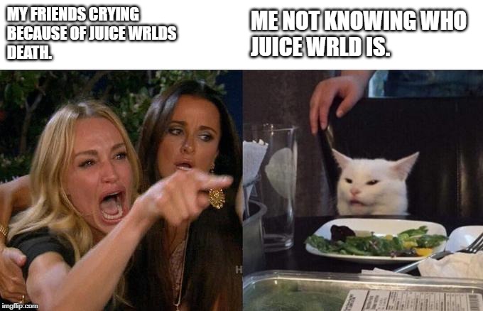 Woman Yelling At Cat Meme | MY FRIENDS CRYING
BECAUSE OF JUICE WRLDS
DEATH. ME NOT KNOWING WHO
JUICE WRLD IS. | image tagged in memes,woman yelling at cat | made w/ Imgflip meme maker