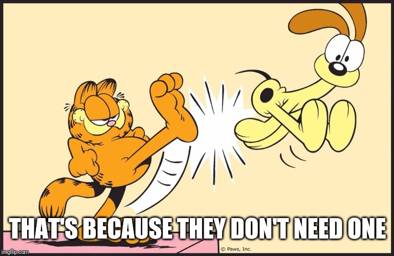 Garfield kicking odie | THAT'S BECAUSE THEY DON'T NEED ONE | image tagged in garfield kicking odie | made w/ Imgflip meme maker